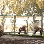 Exclusive Z Jacuzzi W Ksztalcie Serca , Krainaalicji Ełk