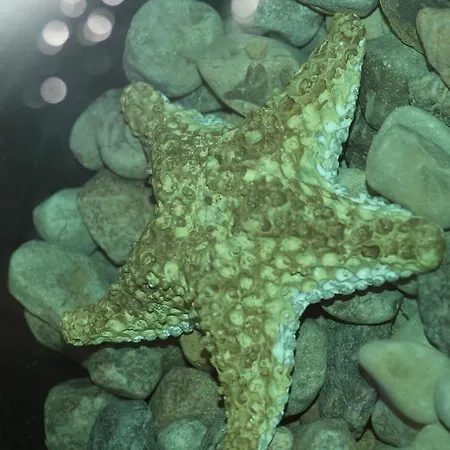 Exclusive Love Suite Z Jacuzzi W Ksztalcie Serca , Krainaalicji Elk *